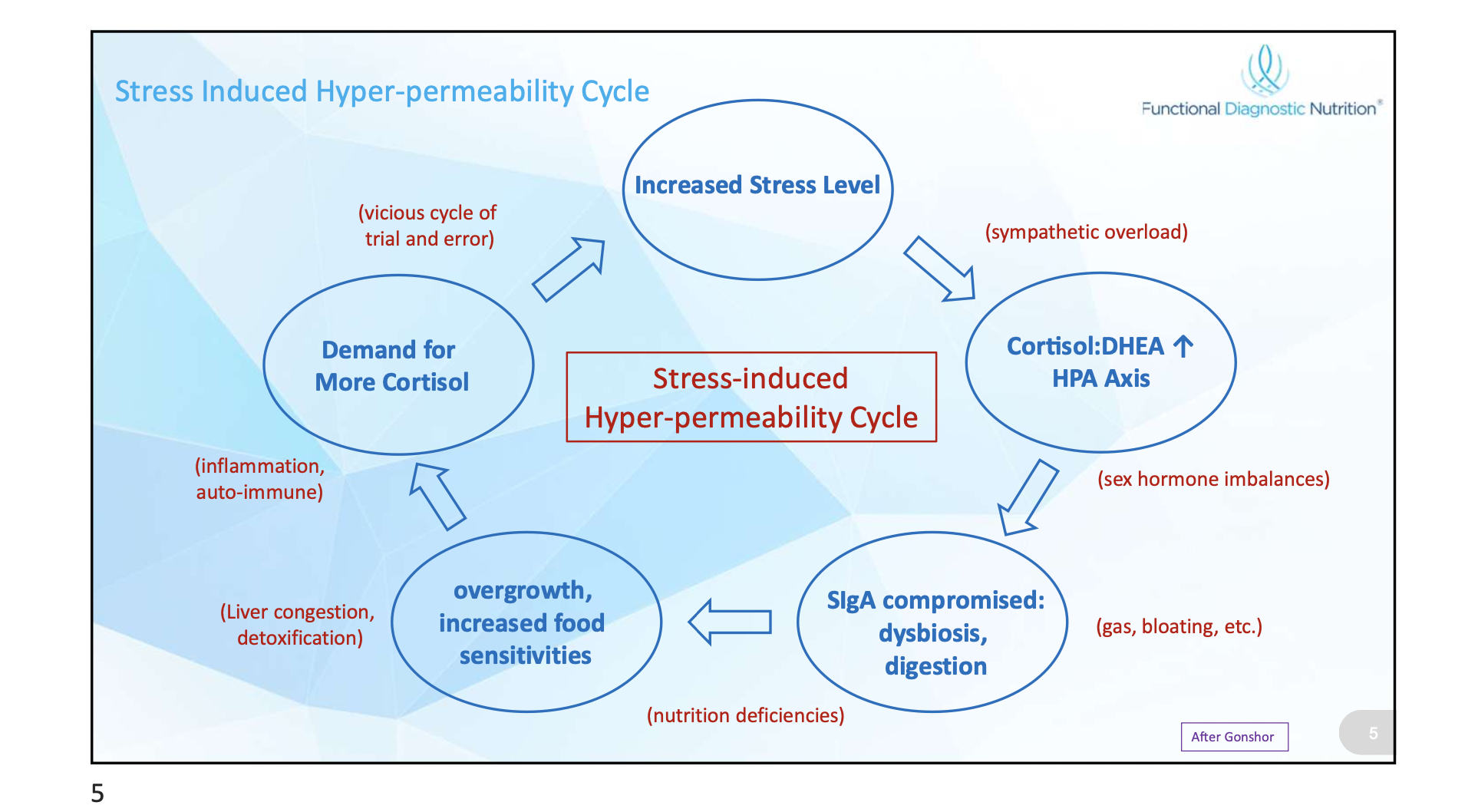 Stress- Induced hyper-premeability cycle, Picture Courtesy of FDN